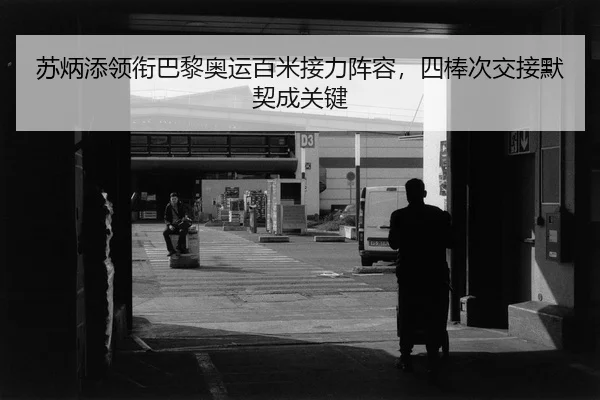 su-bing-tian-ling-xian-ba-li-ao-yun-bai-mi-jie-li-zhen-rong-si-bang-ci-jiao-jie-mo-qi-cheng-guan-jian-2-940.jpg