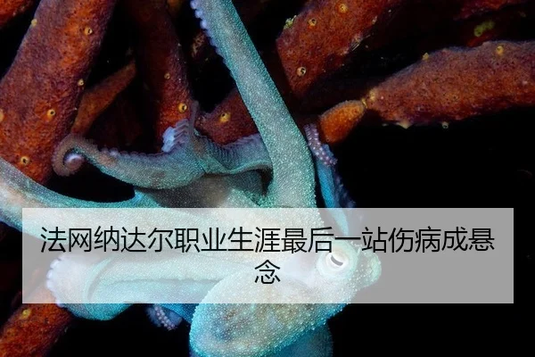 fa-wang-na-da-er-zhi-ye-sheng-ya-zui-hou-yi-zhan-shang-bing-cheng-xuan-nian-2-689.jpg