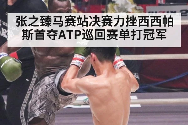 张之臻马赛站决赛力挫西西帕斯首夺ATP巡回赛单打冠军